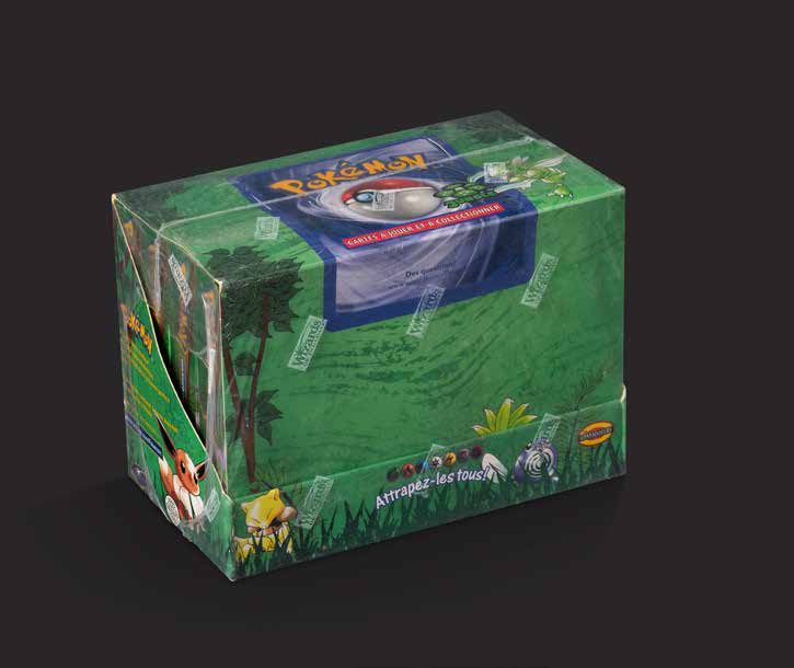 Jungle Theme Deck Display