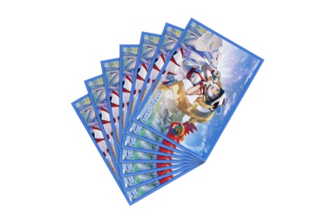 Pokémon Art Sleeves Korrina