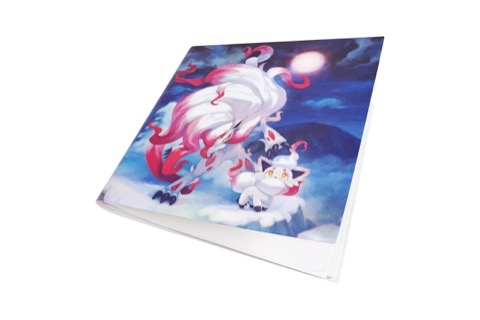 Shadow Radiance Pokémon Collector Album