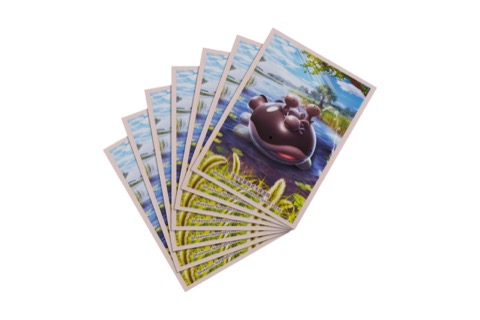 Miraculous Journey Pokémon Art Sleeves