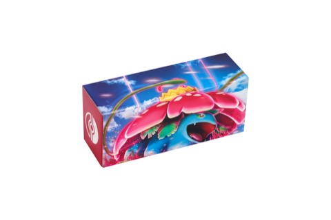 Primal Martial Arts Theme Pokémon Card Storage Box Venusaur Flourish