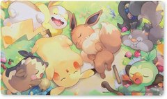 April 2024 Pokémon Center accessories