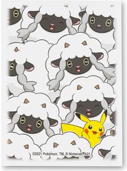 August 2021 Pokémon Center accessories