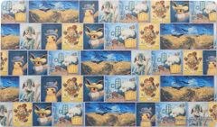 Pokémon Center × Van Gogh Museum accessories