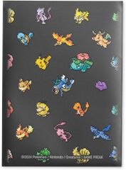 January 2024 Pokémon Center accessories