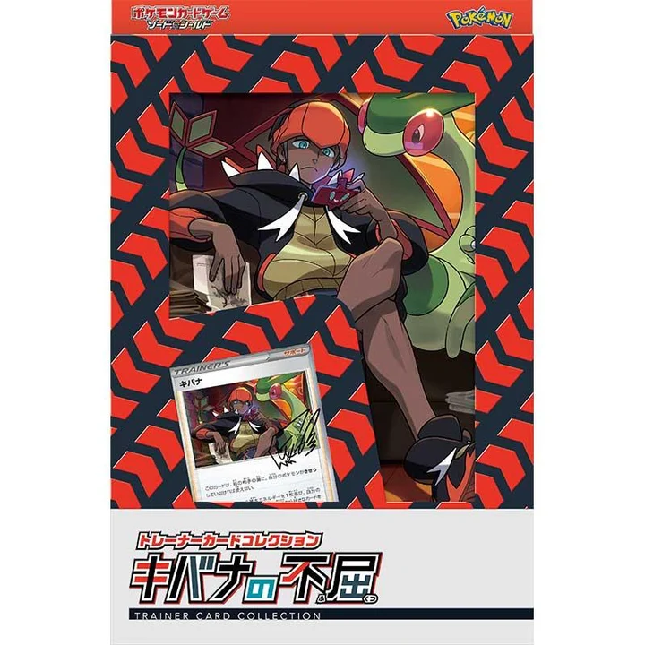Trainer Card Collection Raihan's Indomitableness