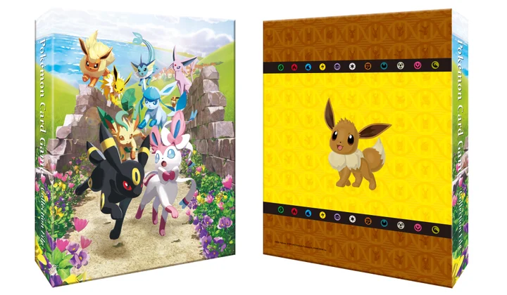 Collection Binder Eevee Heroes