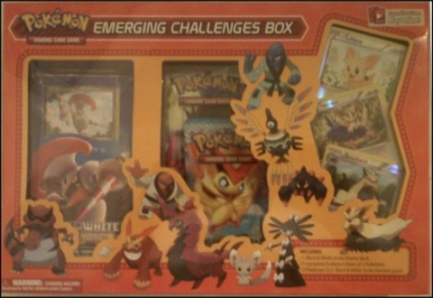 Emerging Challenges Box
