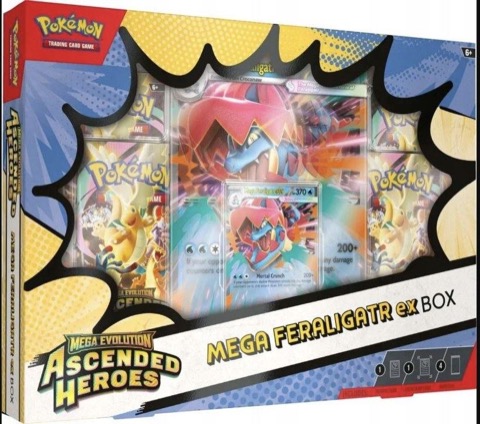 Mega Feraligatr ex Box