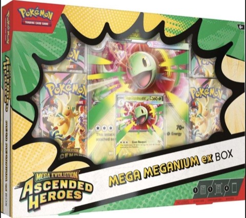 Mega Meganium ex Box