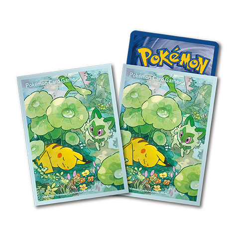 Card Sleeves · 9346496