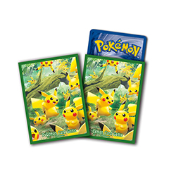 Card Sleeves · 9315126