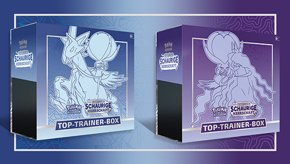 Sword & Shield—Chilling Reign Elite Trainer Box
