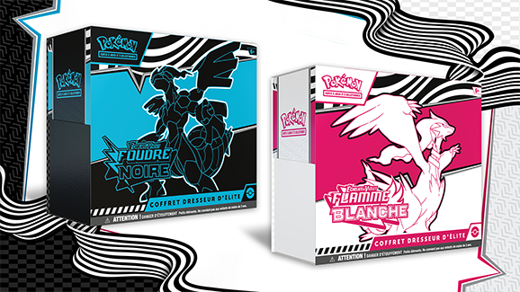Scarlet & Violet—Black Bolt Elite Trainer Box | Scarlet & Violet—White Flare Elite Trainer Box